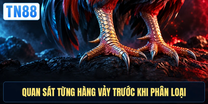 Quan sát từng hàng vảy trước khi phân loại